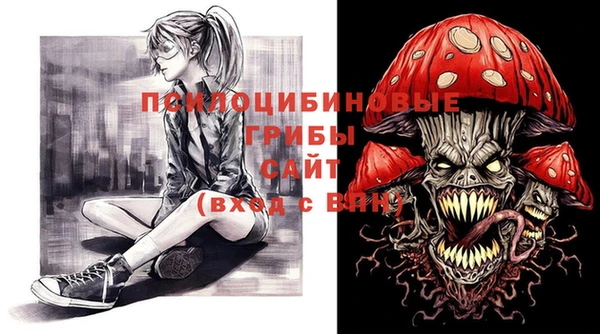 дмт Заводоуковск