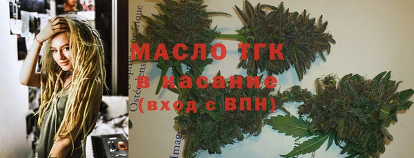 дмт Заводоуковск