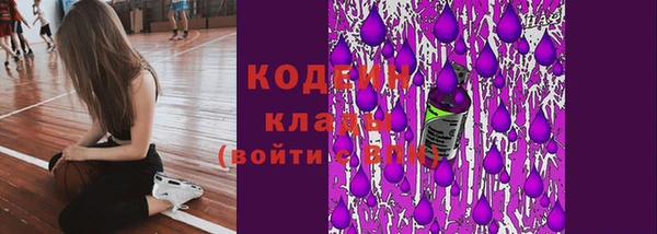 дмт Заводоуковск